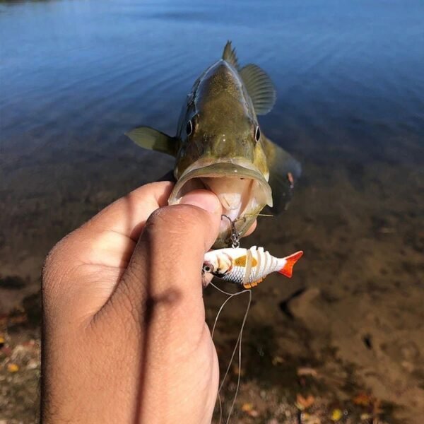 🔥Micro Jointed Swimbait - Image 2